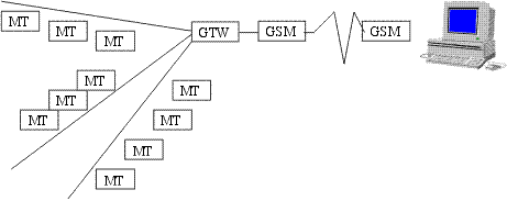 DMT1